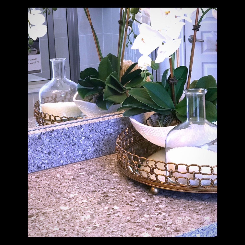 Meet your Posher — Tropical Orchids